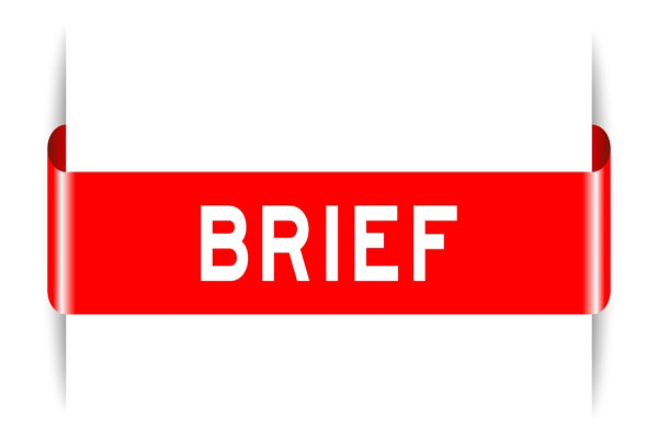 3D word brief in white on red band stands fo website page outlines.