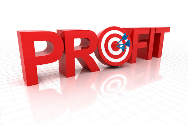 Word profit in red with target and arrows in middle.