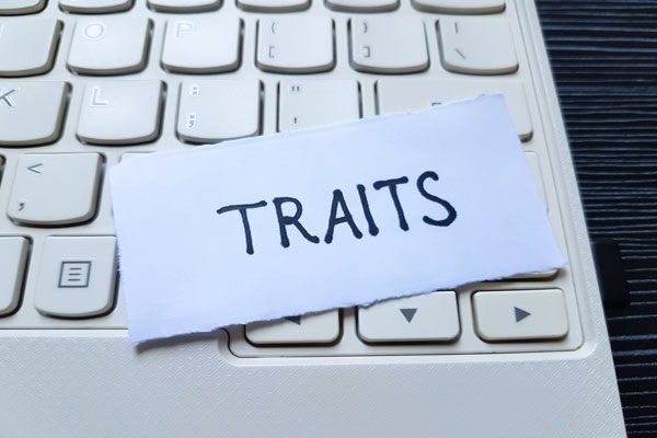 Word traits on keyboard stands for traits of profitable home care clients.