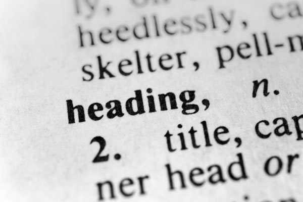 Page from dictionary with bolded heading definition text.