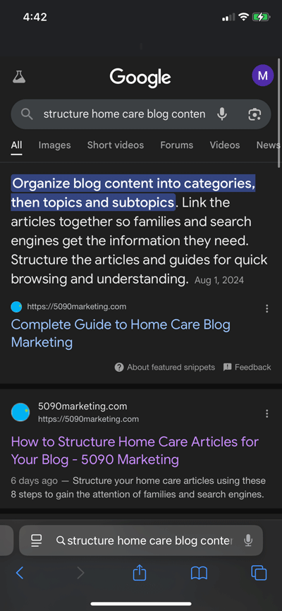 Google snippet showing blog guide and blog structure sub topic article below it.