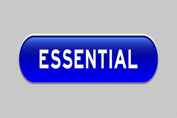 3d word essential in blue.